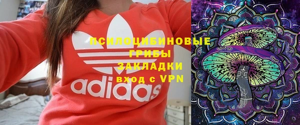 дживик Лагань