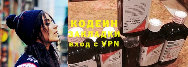 молекула духа Лабытнанги