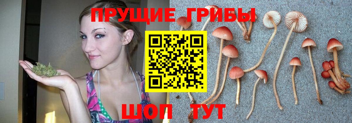 Псилоцибиновые грибы мухоморы Балаково