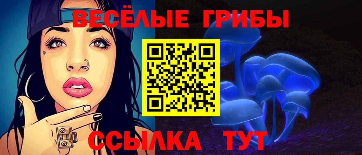 Псилоцибиновые грибы Psilocybe  Вход с VPN  Балаково 